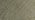 Dark Olive