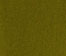 Olivine