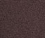 Coffee Bean
