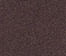 Coffee Bean