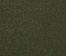 Dark Olive